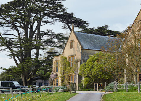 The Pig, Pig at Combe, Combe, Devon, gardens, hotel, bar, rooms, restaurant
